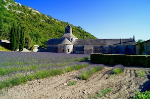 Un bâtiment historique doté d’un clocher, entouré d’un champ de lavande et situé au pied d’une colline.