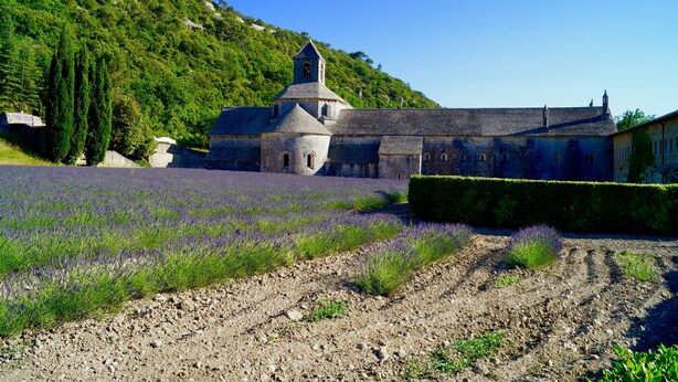 Un bâtiment historique doté d’un clocher, entouré d’un champ de lavande et situé au pied d’une colline.