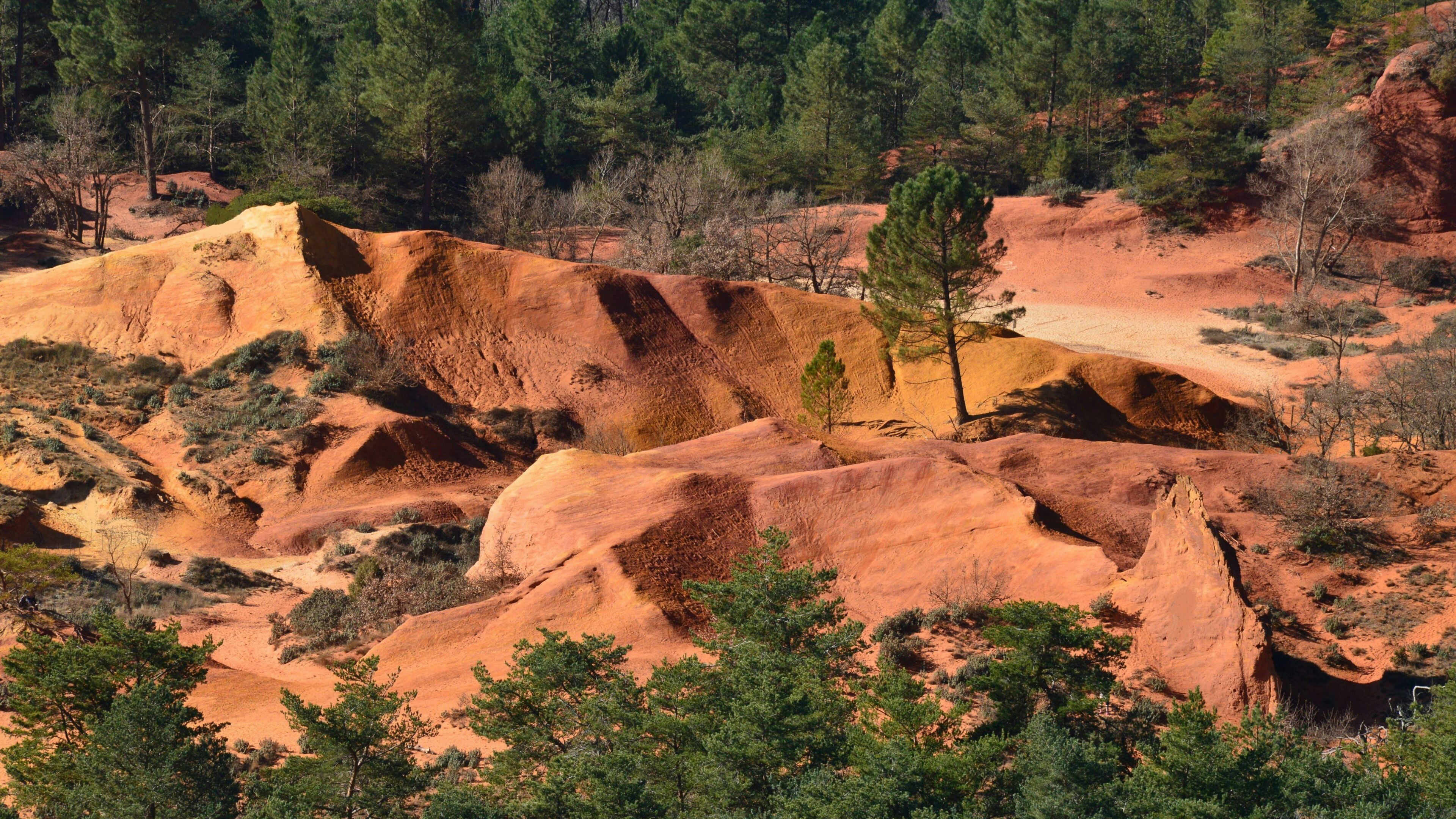 A rugged landscape with red rock formations and sparse vegetation.