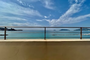施設の敷地