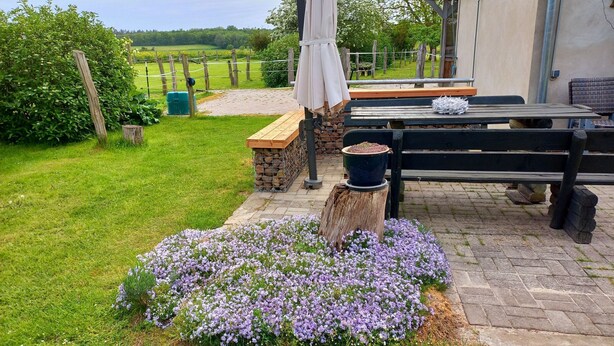 A patio area with a wooden bench, a table, and a potted plant. - Zum Koppelblick by Interhome (Woldegk)
