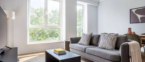 Télévision, chaîne hi-fi