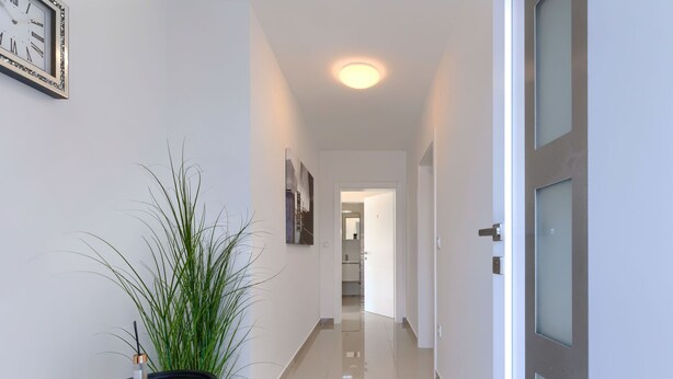 Un pasillo moderno con una planta en maceta, un reloj en marco y una puerta con paneles de vidrio esmerilado.