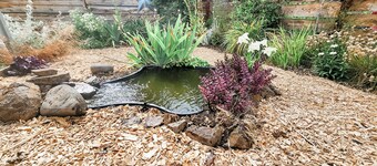 Cozy 2B/2B brand new oasis close to everything in Shady Cove!