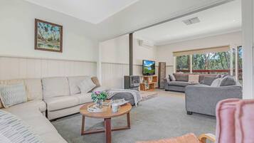 TV, fireplace, books, offices