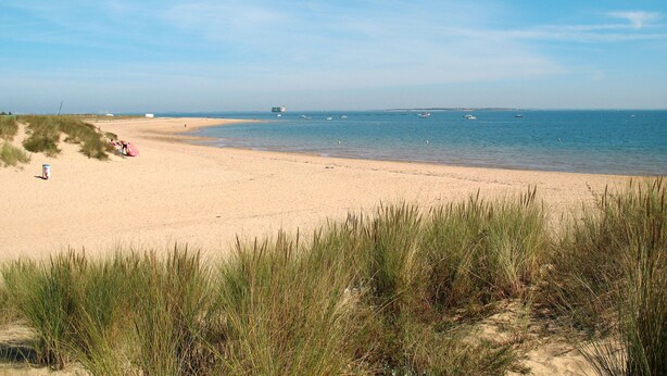 A beach with sand dunes and sparse vegetation. - l'Oasis by Interhome (Ile d'Oléron)
