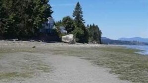 Ein sandiger Strand mit Bäumen und blauem Himmel.