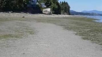 Beach nearby, sun-loungers, beach towels
