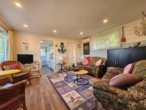 TV, fireplace, books