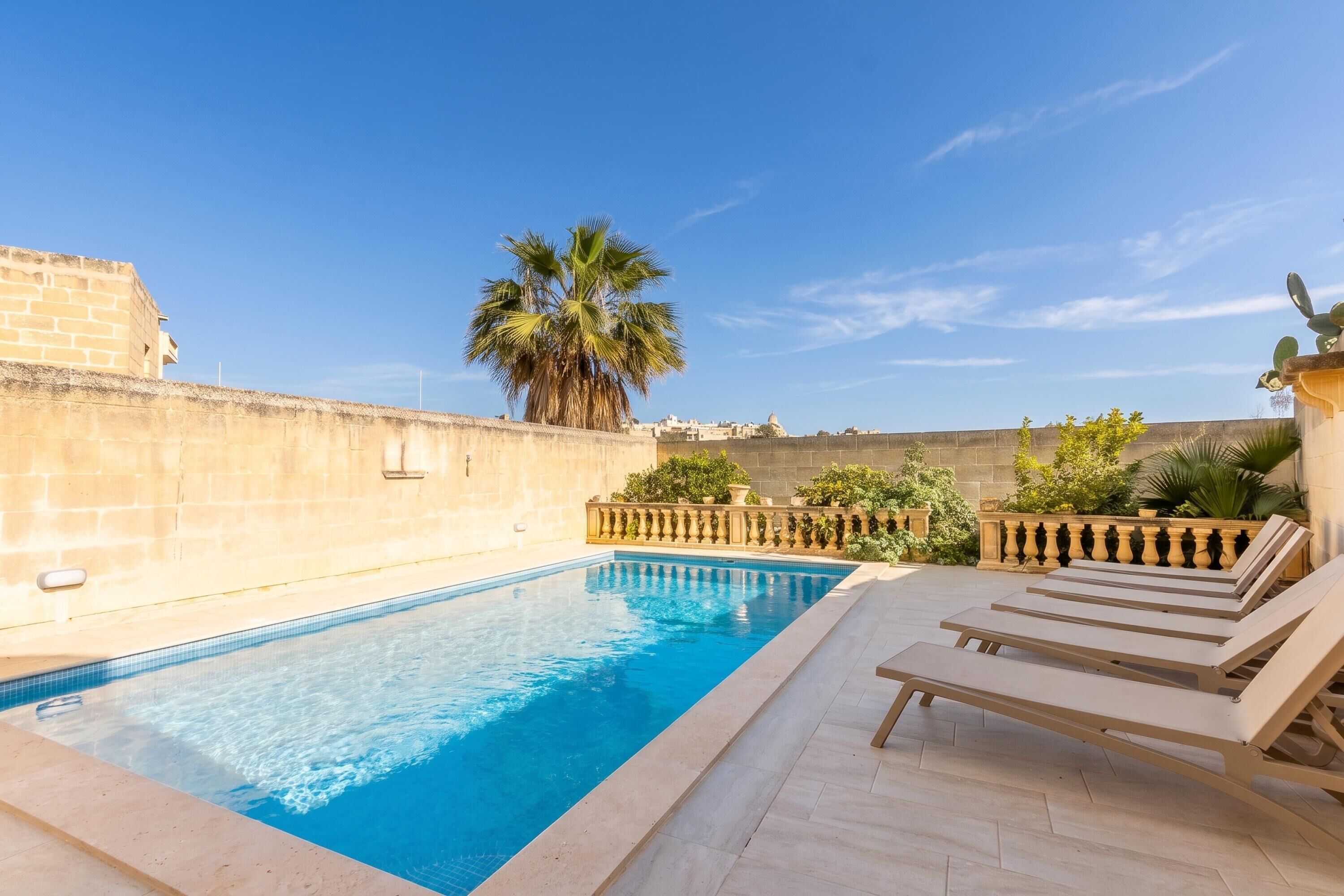 A swimming pool with lounge chairs, a palm tree, and a stone wall.