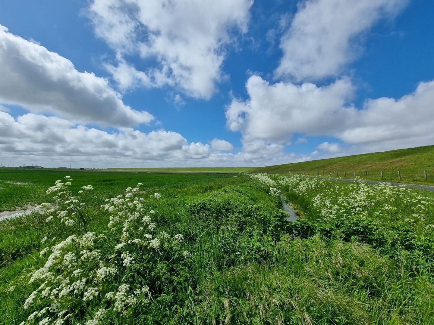 Un paisaje rural con cielo despejado, campos verdes y un sendero estrecho.