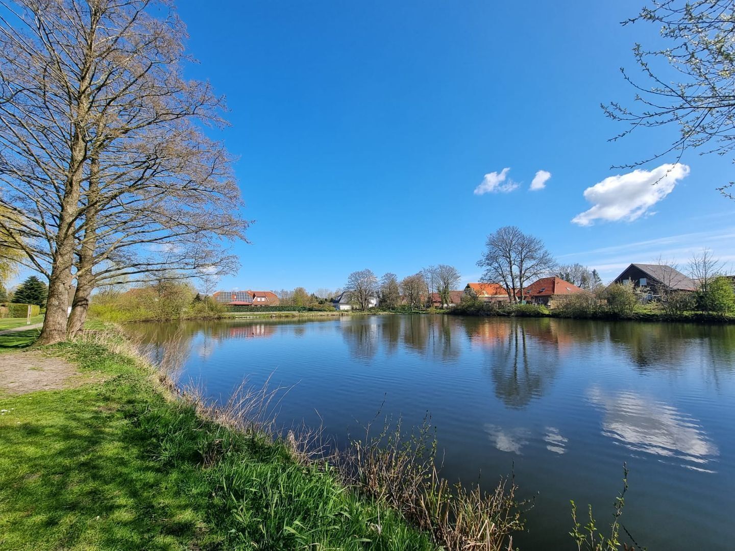 A calm lake with a clear sky, surrounded by trees and buildings.