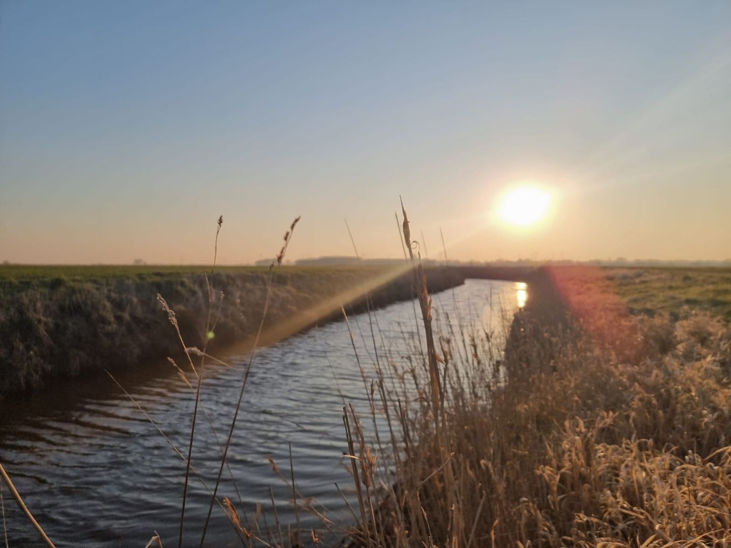 A calm waterway with tall grasses and reeds on either side, leading to a distant horizon where the sun is setting.
