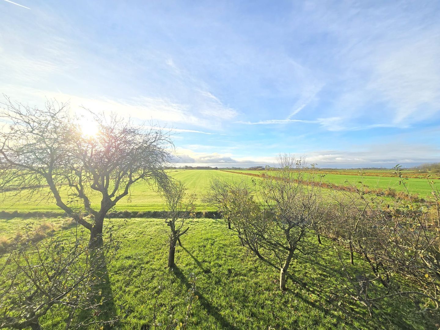 Un paysage rural caractérisé par de vastes champs et des arbres dispersés.