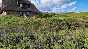 Casa con techo de paja y un diseño de ventana moderno, rodeada de exuberante vegetación y un cielo despejado.