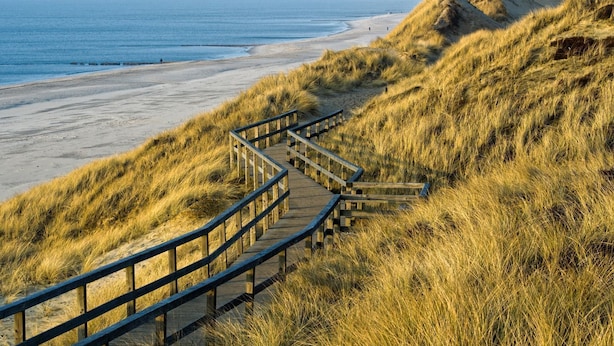 Una pasarela de madera que conduce a una playa con dunas.