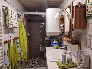 Shower, hair dryer, towels