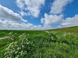 Unclassified image, 2 of 21, button