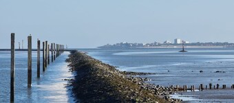Herzlich Willkommen im Mienhus in der Ferienwohnung Famke! - Mienhus Apartments
