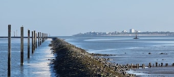 Herzlich Willkommen im Mienhus in der Ferienwohnung Palle in Norddeich. - Mienhus Apartments