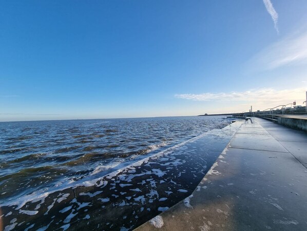 Uklassifisert bilde, 1 av 42, knapp