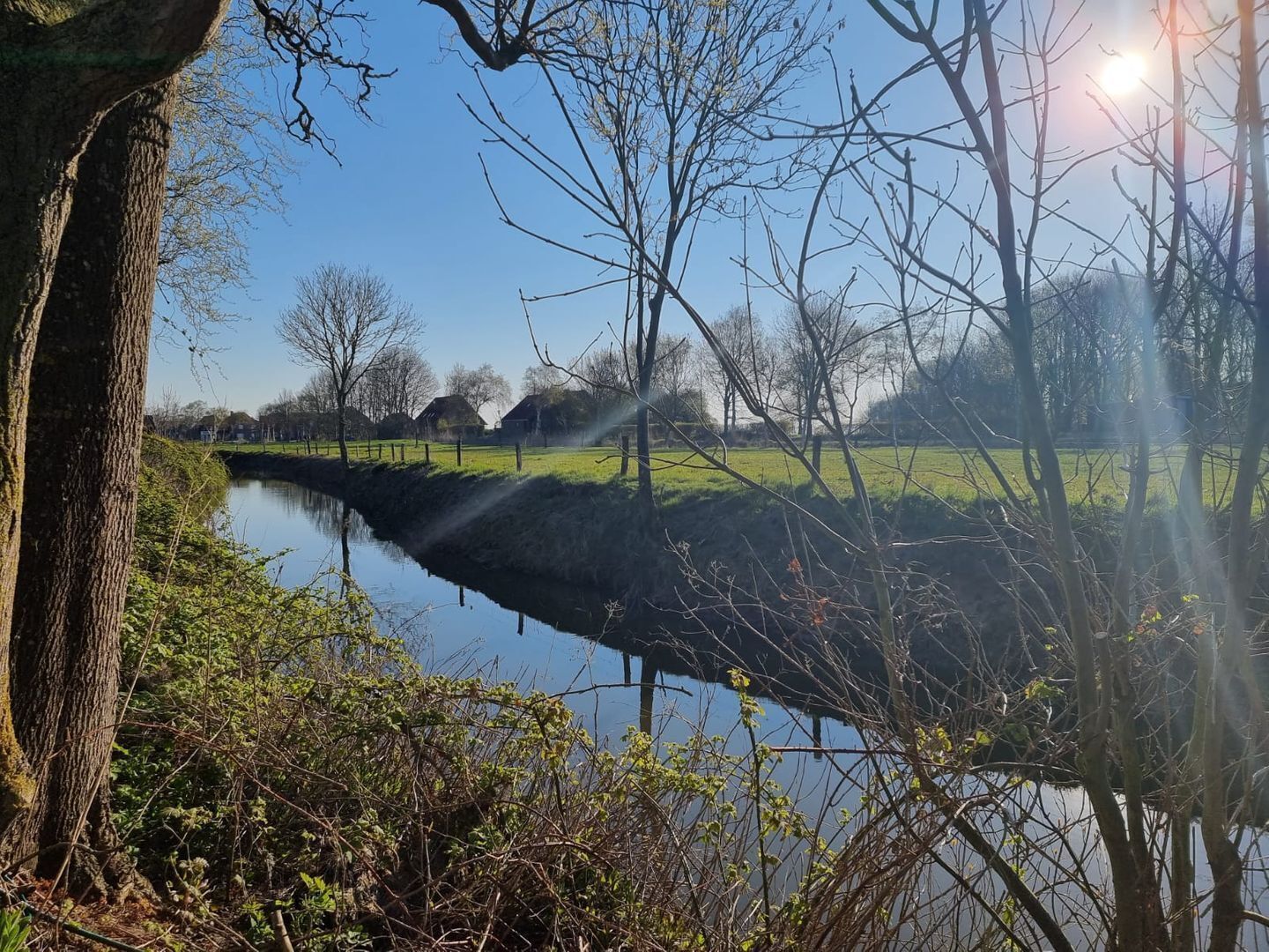 Une vue paisible sur la rivière, avec une étendue d’eau calme, des arbres et des bâtiments situés au loin.