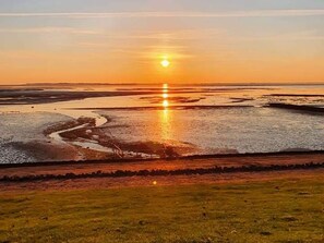 Imagen sin descripción, 2 de 23, botón