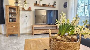 TV, caminetto, impianto stereo