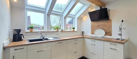 Fridge, oven, stovetop, dishwasher