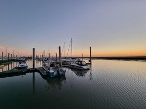 Immagine non classificata, 4 di 24, pulsante