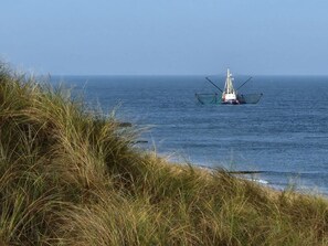 Uklassifisert bilde, 5 av 24, knapp