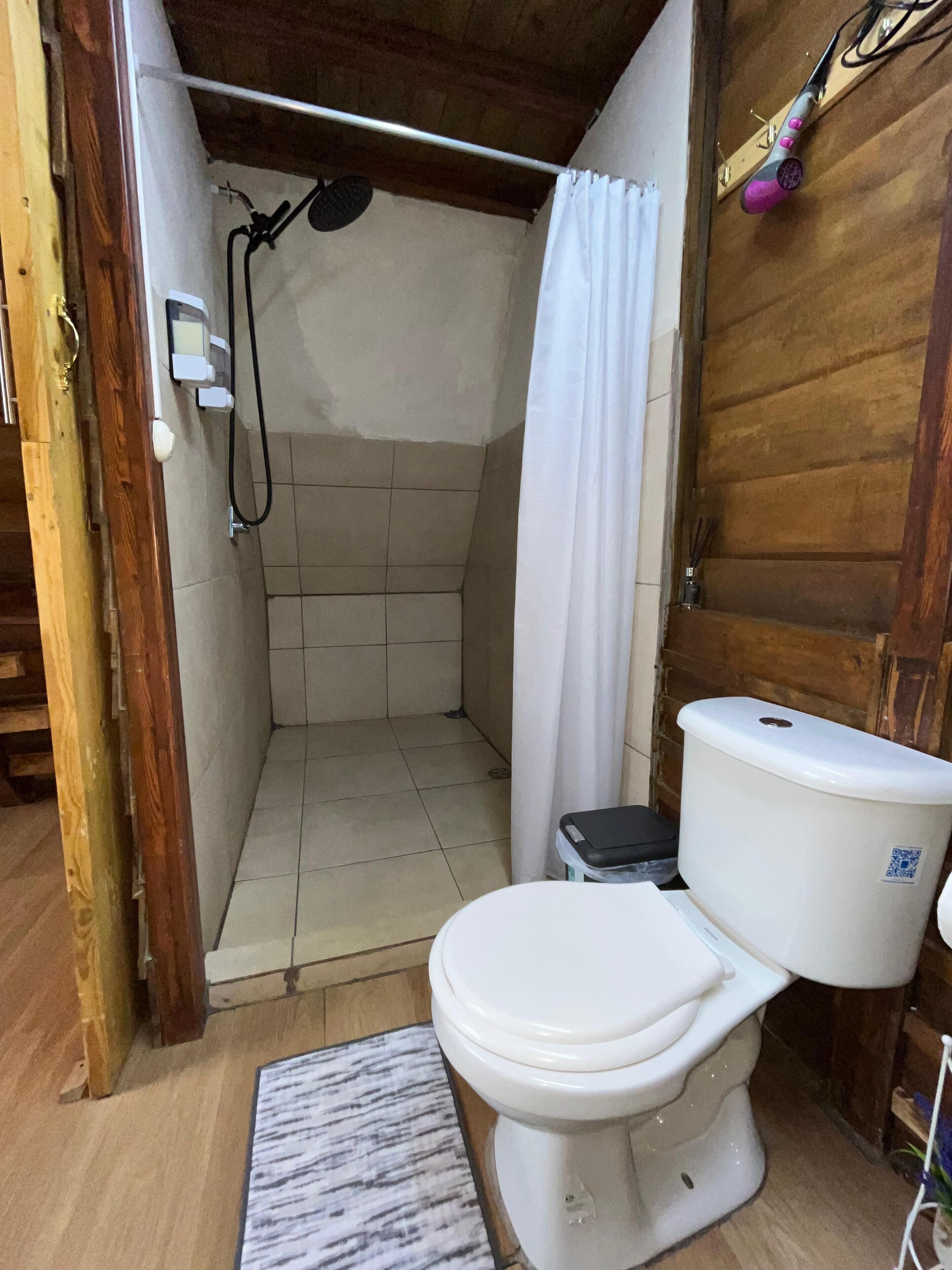 Une petite salle de bain comprenant une douche, des toilettes et un petit tapis.