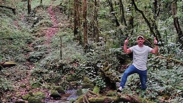 Hiking