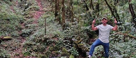 A forested area with a person standing on a moss-covered log.