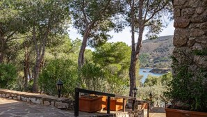 A stone pathway leading to a wooden bench overlooking a scenic valley with a body of water. - Residenza Capo Perla - Capo Perla 2 (Capoliveri)