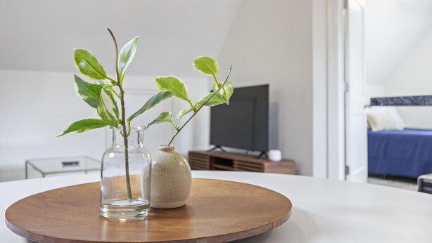 Ein modernes Zimmer mit einem Bett, einem Fernseher und einem Holztisch mit zwei Pflanzenvasen.