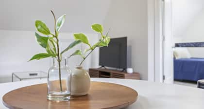 Cozy Downtown Loft for Two + Pets, Walk to Main St