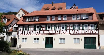 Ferienwohnung 'Das Schiefe Haus Whg Odenwald' mit WLAN