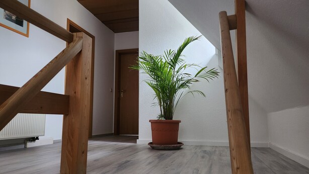 A wooden staircase leading to a room with a potted plant. - Apartment 'Ferienwohnung Auf Der Heide' with Shared Terrace, Shared Garden and Wi-Fi (Großschönau)