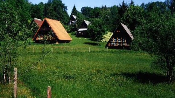 A row of wooden cabins in a grassy field with dense trees in the background. - Holiday Home 'Bergwiese' with Mountain View, Private Garden and Balcony (Siegsdorf)