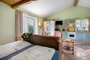 1 bedroom, iron/ironing board, free WiFi, bed sheets