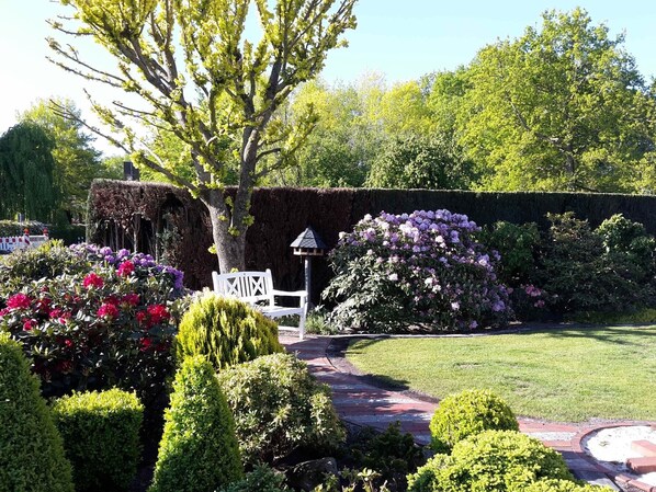 A garden with a white bench, a tree, and various flowering bushes.