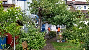 En havevej der fører til et hus med en træbænk, plantekasser og frodig beplantning.