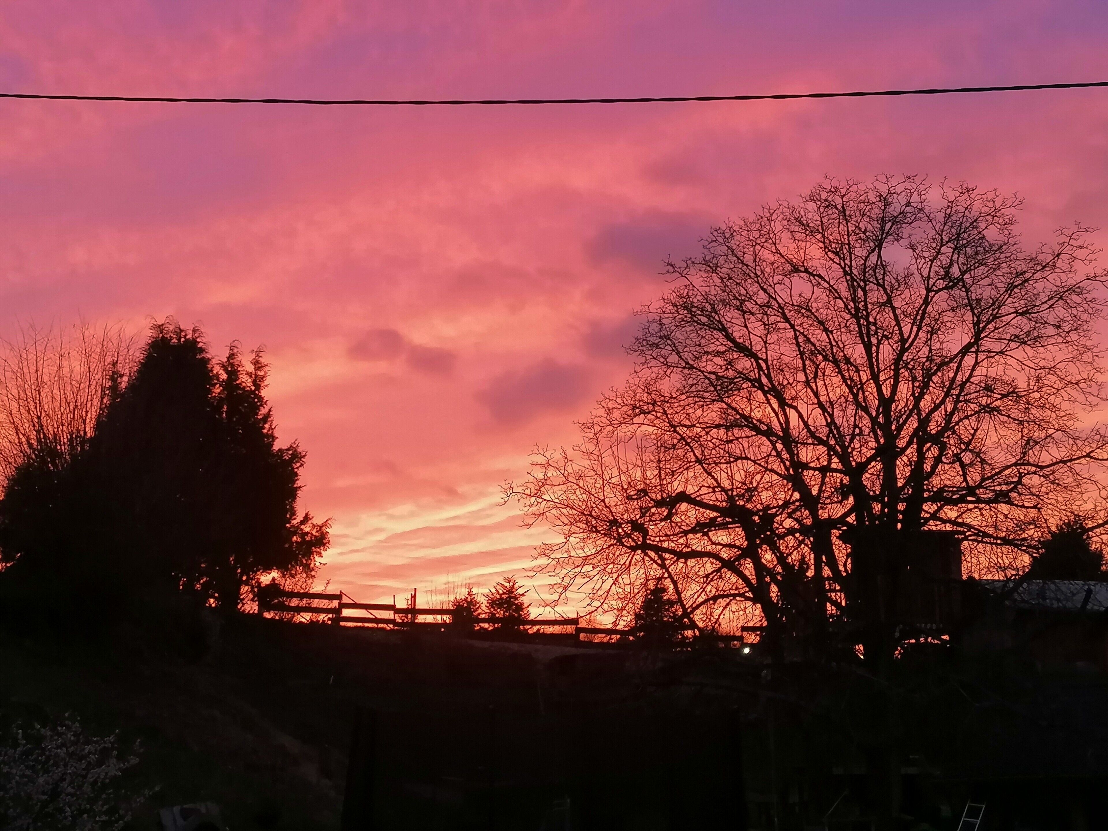 A sunset with a pink sky, silhouetted trees, and a wooden fence.