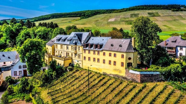 A large yellow building with multiple windows and a balcony, surrounded by lush greenery and vineyards. - Apartment 'Napoleonzimmer Studio' with Shared Terrace, Shared Garden and Wi-Fi (Maring-Noviand)