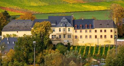 Ferienwohnung 'Tresorzimmer - Studio' mit Bergblick, Gemeinschaftsterrasse und WLAN