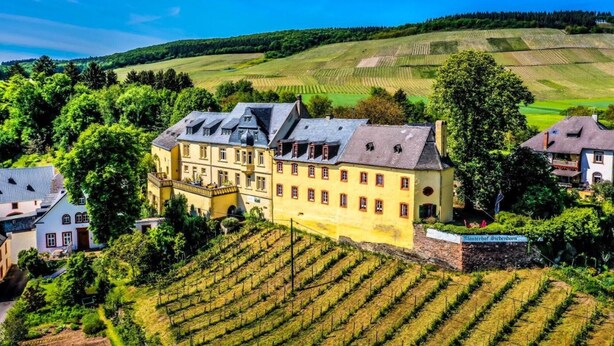 Ein großes, gelbes Gebäude mit zahlreichen Fenstern und einem Balkon, umgeben von üppiger Vegetation und Weinbergen.