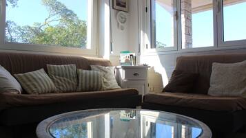 TV, fireplace, stereo