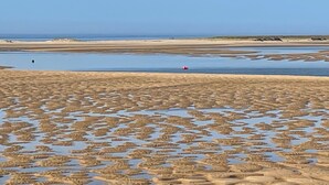 Une plage avec une étendue de sable au premier plan et une étendue d’eau en arrière-plan.