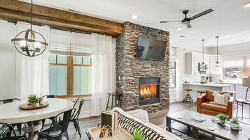 TV, fireplace, books